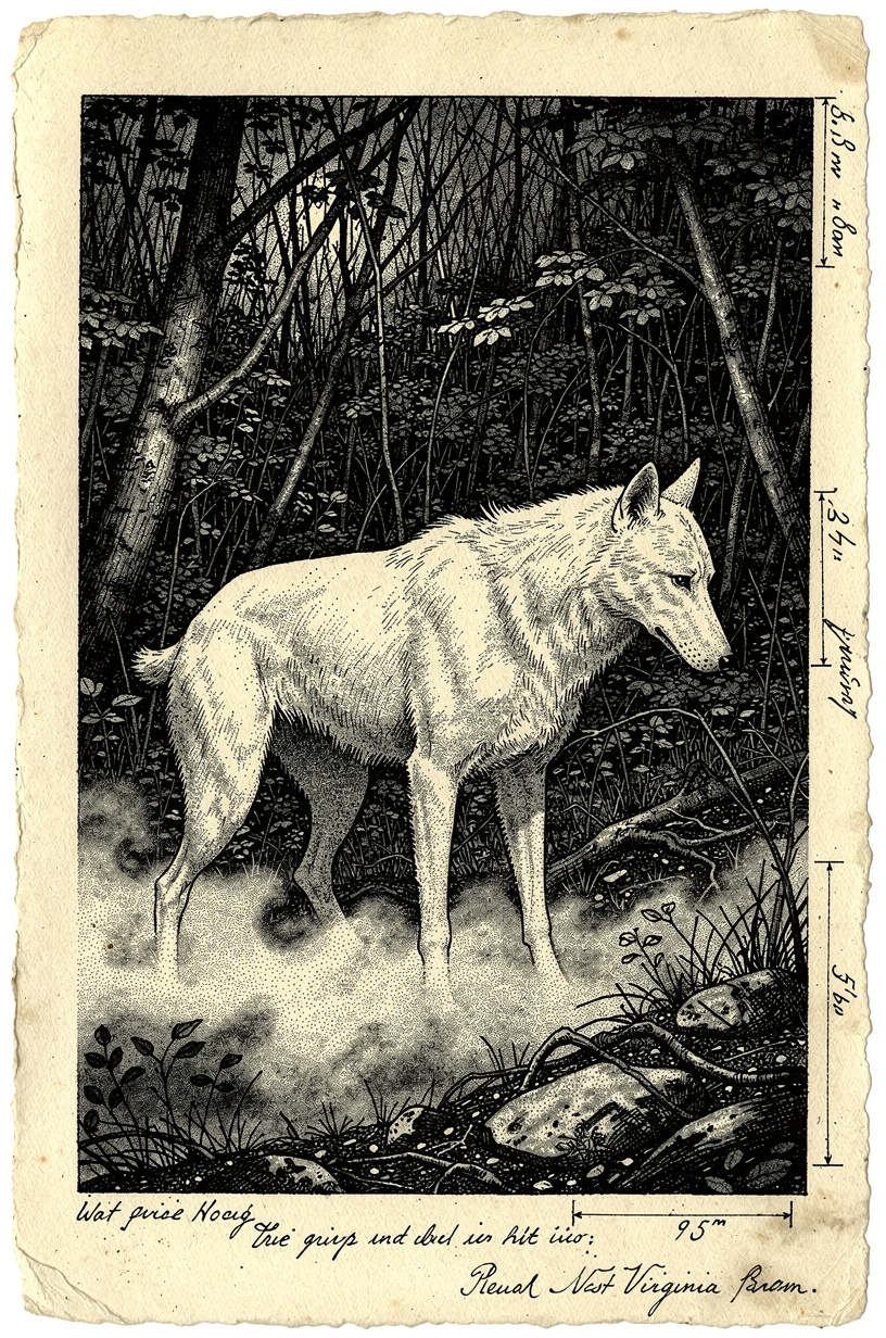 The White Thing — field illustration